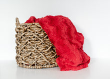 Load image into Gallery viewer, Cinnamon Bear Belle - Grand