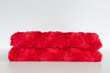 Load image into Gallery viewer, Cinnamon Bear Belle - Grand